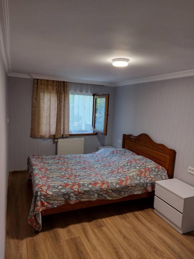 Davids Entire Place Borjomi Exterior foto